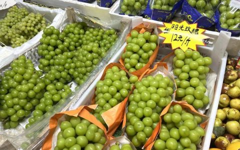 葡萄“顶流”阳光玫瑰，怎么就败给巨峰了