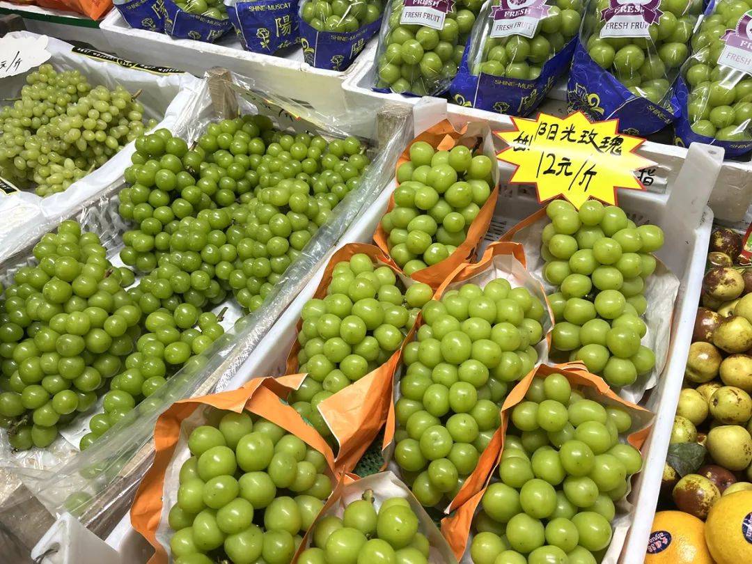 葡萄“顶流”阳光玫瑰,怎么就败给巨峰了