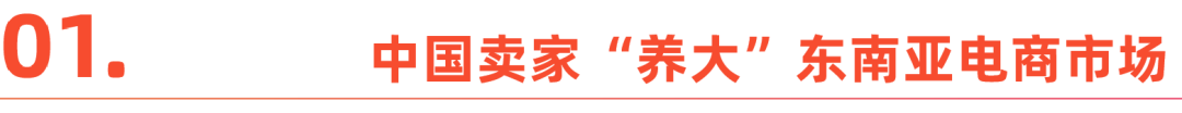 从深圳出发，成为东南亚头部卖家丨沿着“一带一路”出海去