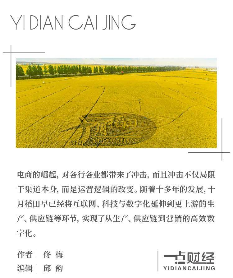 从十月稻田，看大米为何能卖出200亿市值？