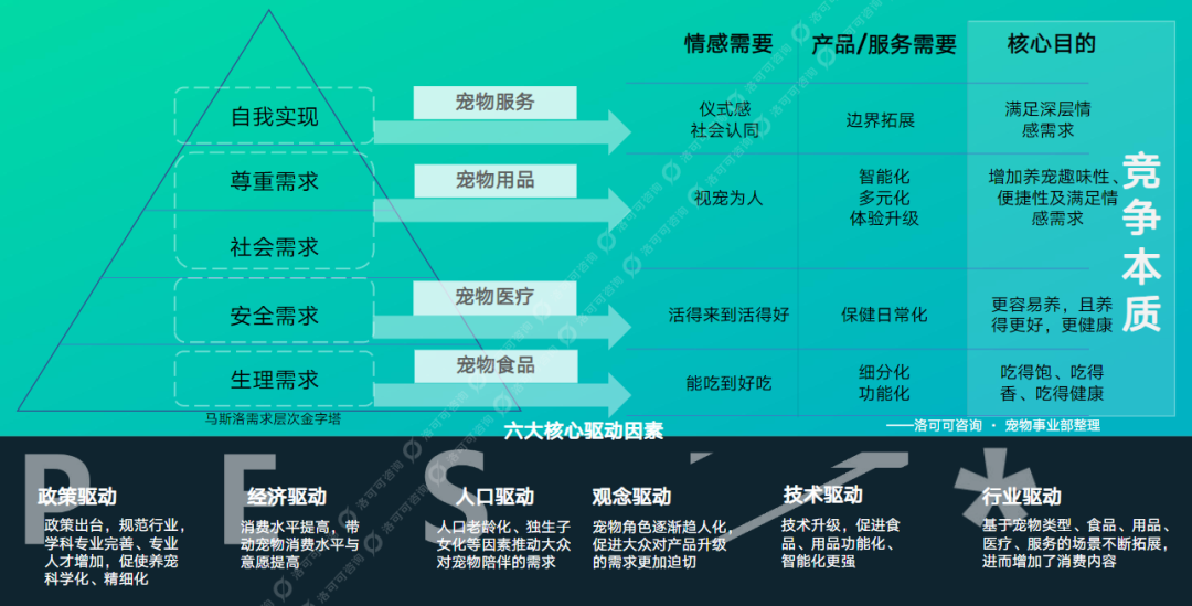 宠物行业还有空间吗？还有哪些潜力赛道？