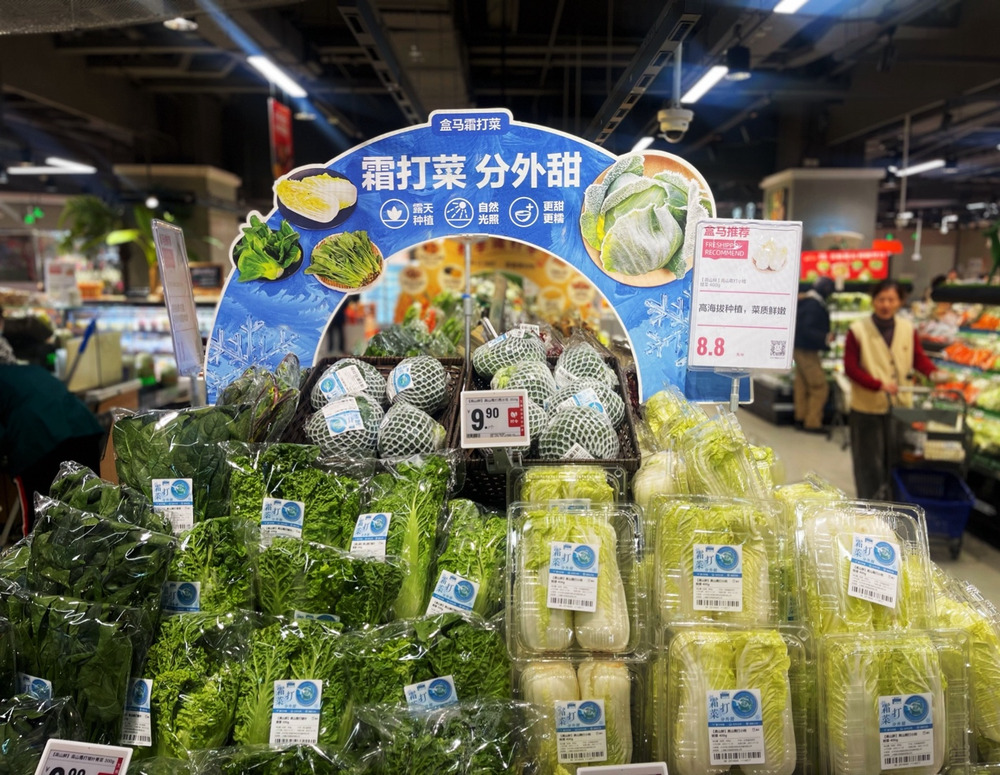 今冬准时报到！头茬高山霜打菜在盒马门店抢鲜上市