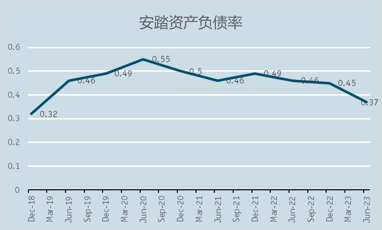 主品牌交棒徐阳，亚玛芬传言上市，安踏丁世忠的新打法