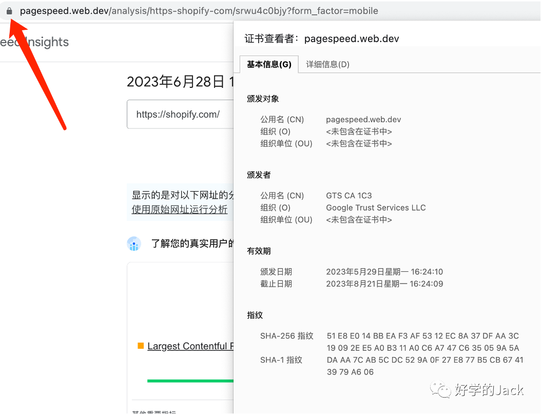 如何分析行业 SEO TOP 网站--6000字干货