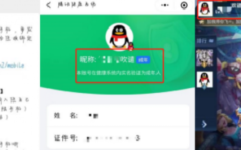 手游未成年人保护测评：绕开实名验证有门道