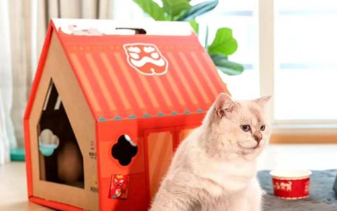 推宠物周边，塔斯汀掌握新“流量密码”？