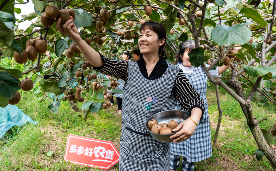 多多跨境是如何点燃拼多多增长新引擎的？