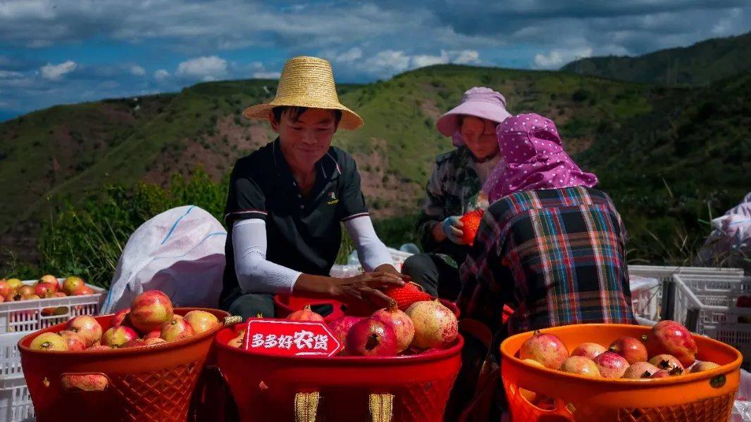 拼多多高质量发展“破茧成蝶”，多多跨境“上大分”