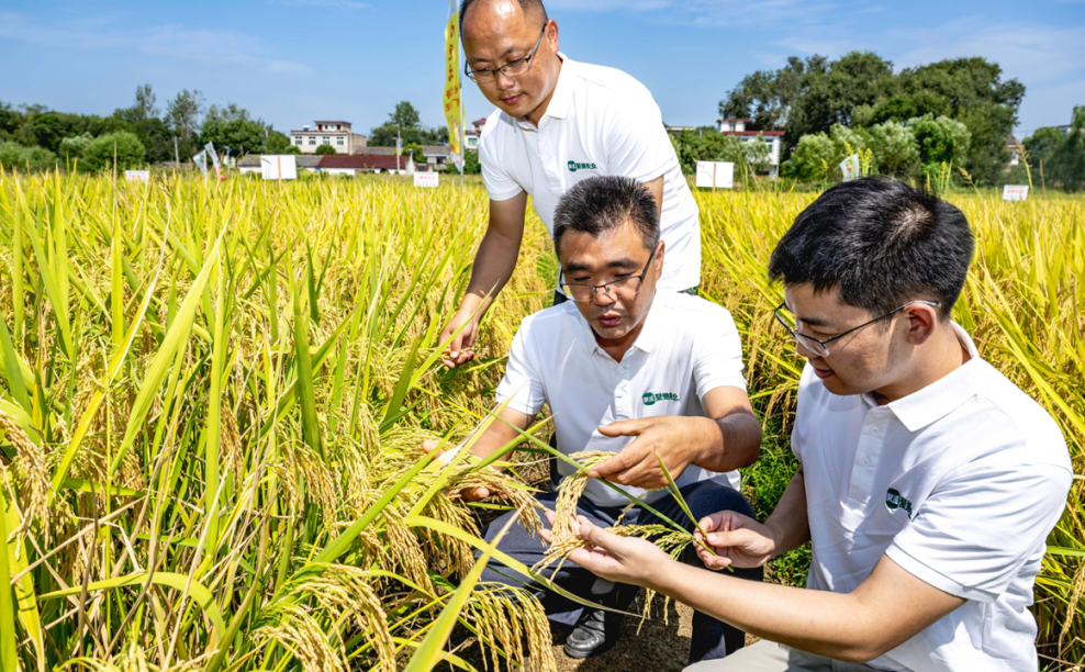 多多跨境是如何点燃拼多多增长新引擎的？