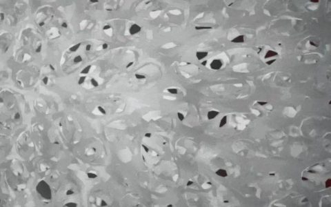 国产冲锋衣告别“卡脖子”，从安踏创出一张“膜”开始