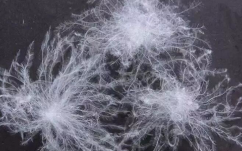 越来越贵的波司登 能否守住“质量”这道底线