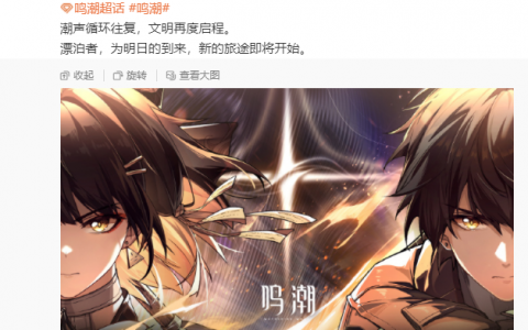 《鸣潮》你“变”了，库洛着急了？