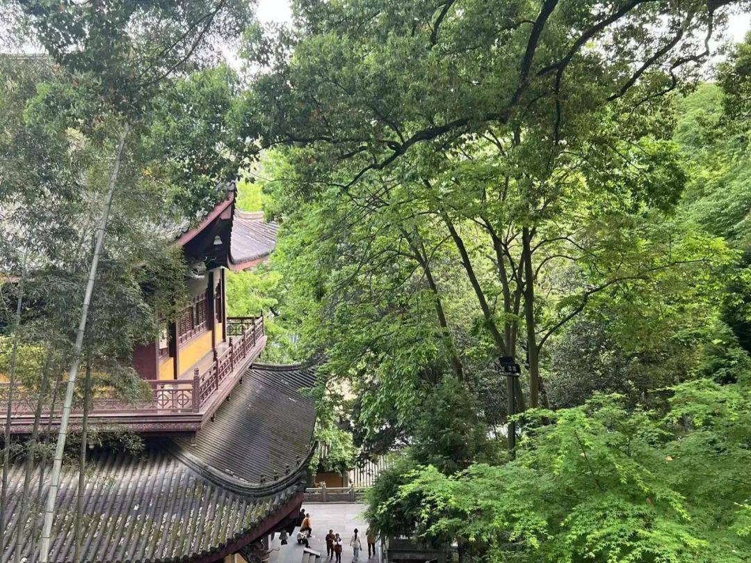 “史上最火”春节旅游，“斗智斗勇”竞赛升级