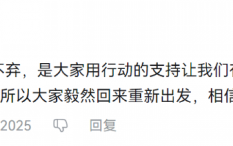一个月内大起大落：年前解散，年后拿版号复活的91Act