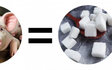 无糖饮料人手一瓶，供应商却快歇菜了