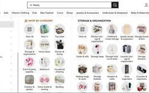 希音十年，迎来拐点