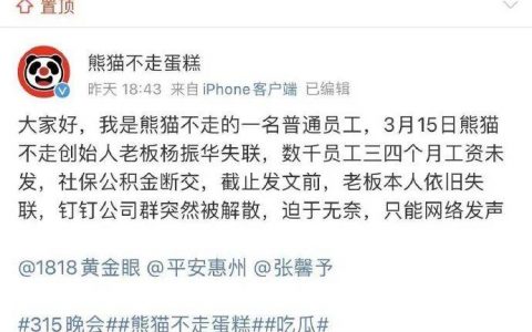 老板欠薪失联，12万家同行倒闭，“熊猫不走”难幸存