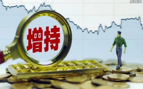 董明珠：建议上市公司高管任期内不减持股票