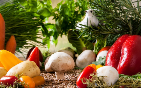 一年百亿产值，山东小县城打破国产蔬菜的垄断困局