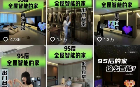 年轻人要的全屋智能，是直接“躺平”