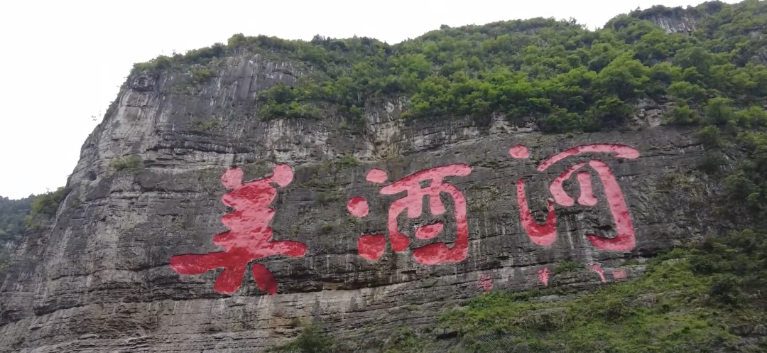 习酒“脱茅”这一年：异军突起，也有隐患