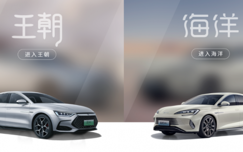 比亚迪“特立独行”