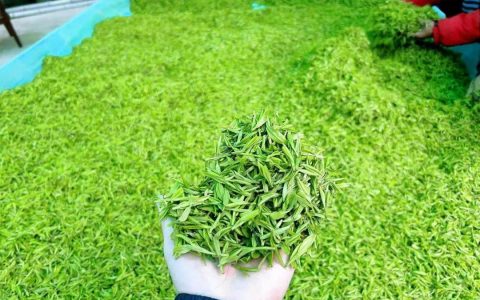 普通人不要去卖茶，注定赚不到钱。