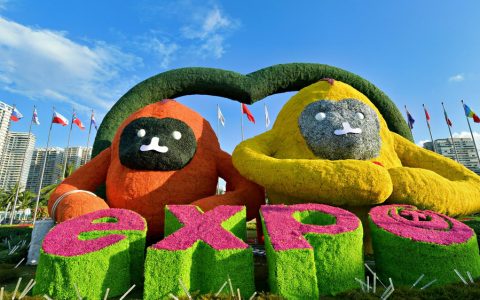 新西兰太平洋羊驼家纺集团三度参展，借助消博会实现五大目标