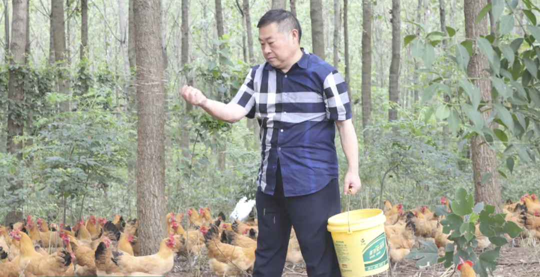 老乡鸡束从轩，对得起每一只鸡