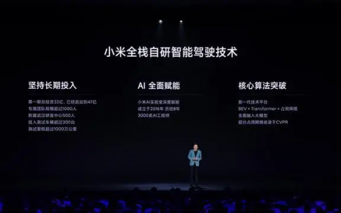 小米车主，干翻雷军