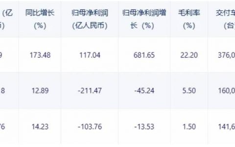 蔚小理的2023：理想赚翻，蔚来巨亏211亿，小鹏自救