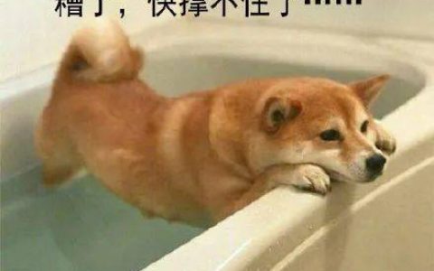 9.9的“穷鬼套餐”爆卖后，汉堡王更惨了！