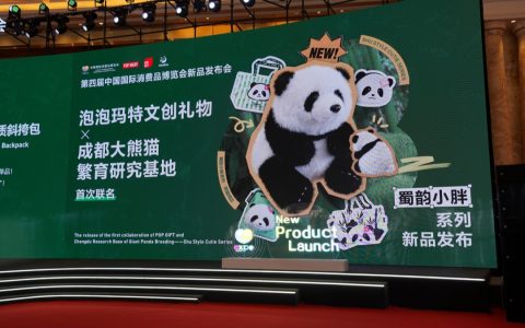 潮流与传统的完美融合：泡泡玛特在第四届消博会上大放异彩