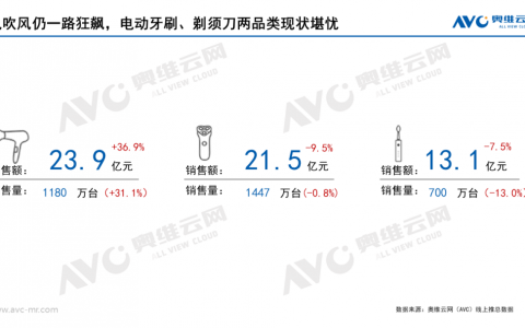 2024年一季度个护小家电市场总结：于细分市场中，寻找确定性增量