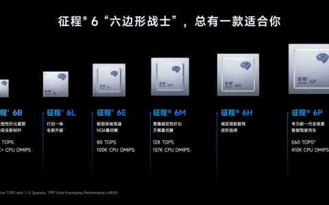 地平线的花样年华