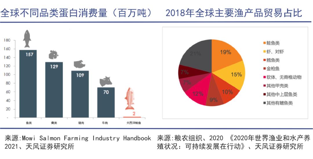 中国爆买全球三文鱼