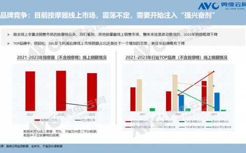 2024中国按摩器市场现状诊断及趋势展望