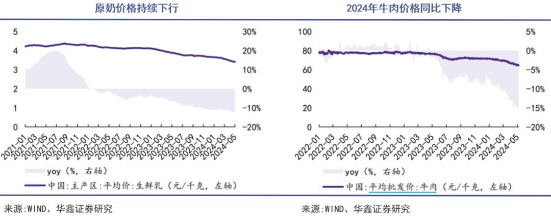 中国乳业迎来一条俄国鲶鱼