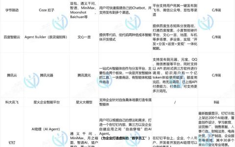 智能体爆发前夜，大厂们都在抢什么？