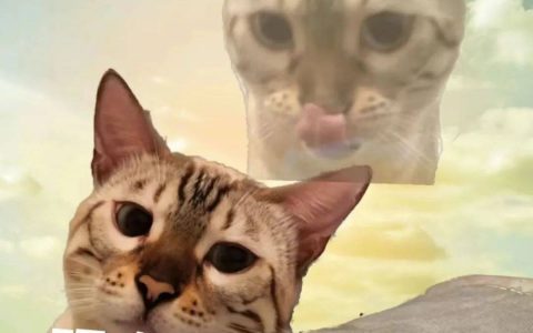 保时捷打6折，轮到小米汽车慌了!