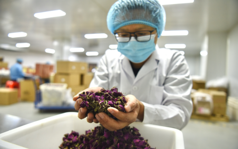 探秘亳州模式：花草茶产业在拼多多狂奔的5年