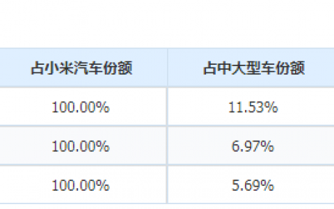 小米的第二辆车，雷军放手一搏