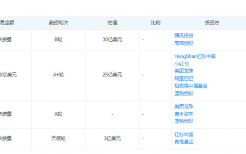 科技泡沫论中，中国AI初创企业如何炼成“吸金大法”？