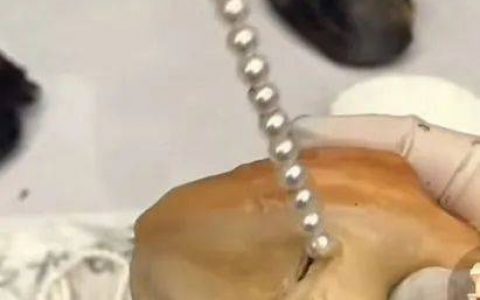 直播开蚌，一年赚千万，是门好生意吗？