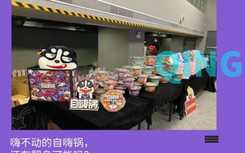 自嗨锅，还是没活成康师傅的样子